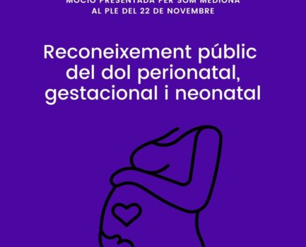 Moció per al reconeixement públic del dol perinatal, gestacional i neonatal
